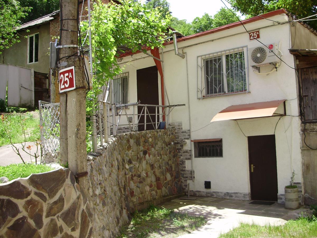 Apartment On Erekle 25A Borjomi Εξωτερικό φωτογραφία